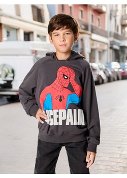 Sinsay - Bluza Spiderman - szary ze sklepu Sinsay w kategorii Bluzy chłopięce - zdjęcie 175739499