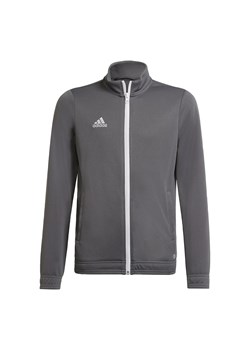 Dziecięca bluza dresowa adidas Entrada 22 ze sklepu Decathlon w kategorii Bluzy chłopięce - zdjęcie 176099408