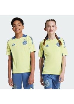 Koszulka Ajax Amsterdam Tiro 24 Competition Training Kids ze sklepu Decathlon w kategorii Stroje piłkarskie - zdjęcie 176149849