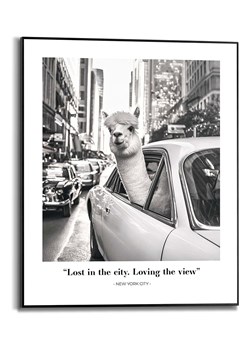 Orangewallz Druk artystyczny &quot;Alpaca New York&quot; w ramce - 40 x 50 cm ze sklepu Limango Polska w kategorii Obrazy - zdjęcie 176285148