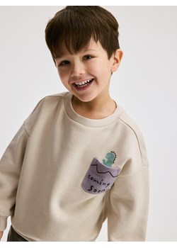 Reserved - Bluza z nadrukiem 2 pack - złamana biel ze sklepu Reserved w kategorii Bluzy chłopięce - zdjęcie 176433916