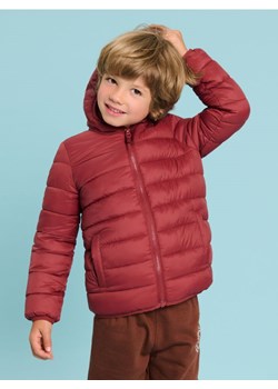 Sinsay - Kurtka pikowana - bordowy ze sklepu Sinsay w kategorii Kurtki chłopięce - zdjęcie 177568019