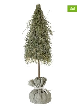 J Line Choinki (2 szt.) w kolorze zielono-beżowym - wys. 51 x Ø 14 cm ze sklepu Limango Polska w kategorii Dekoracje bożonarodzeniowe - zdjęcie 177631348