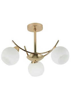 Złota nowoczesna lampa wisząca - D248 G9-A94 ze sklepu Edinos.pl w kategorii Lampy wiszące - zdjęcie 177792946