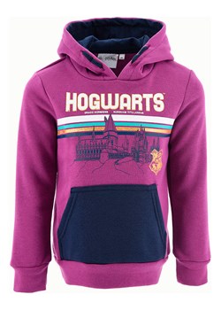 Harry Potter Bluza &quot;Harry Potter&quot; w kolorze fioletowym ze sklepu Limango Polska w kategorii Bluzy dziewczęce - zdjęcie 177804457