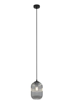 Pojedyncza regulowana lampa wisząca - 4X D161 F5-L28 ze sklepu Edinos.pl w kategorii Lampy wiszące - zdjęcie 177898408