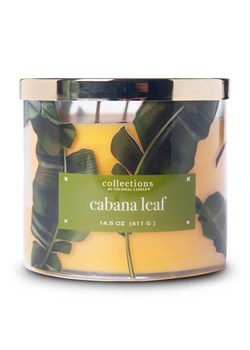Colonial Candle Świeca zapachowa "Tropic Cabana Leaf" - 411 g ze sklepu Limango Polska w kategorii Świece i dyfuzory - zdjęcie 178093187