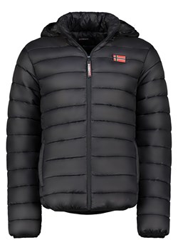 Geographical Norway Kurtka pikowana "Amigoglerc Hood" w kolorze czarnym ze sklepu Limango Polska w kategorii Kurtki męskie - zdjęcie 178195747