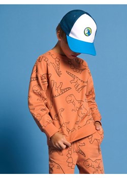 Sinsay - Bluza - pomarańczowy ze sklepu Sinsay w kategorii Bluzy chłopięce - zdjęcie 178269005