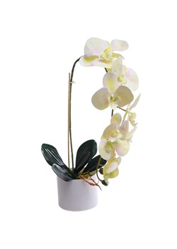 Żółty storczyk orchidea Kompozycja kwiatowa 1 Pęd 55 cm KOMp66 S240 ze sklepu Pantofelek24.pl w kategorii Dekoracje - zdjęcie 178532179