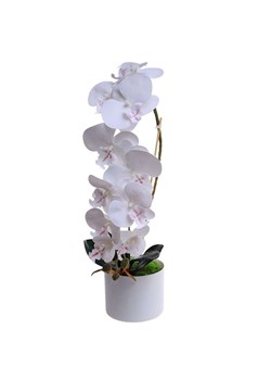 Biały storczyk orchidea Kompozycja kwiatowa 1 Pęd 55 cm KOMp67 S240 ze sklepu Pantofelek24.pl w kategorii Dekoracje - zdjęcie 178533836