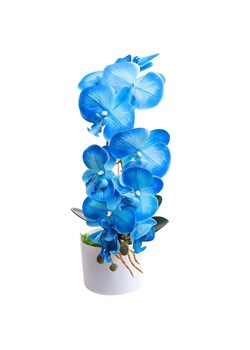 Niebieski storczyk orchidea Kompozycja kwiatowa 1 Pęd 55 cm KOMp64 S240 ze sklepu Pantofelek24.pl w kategorii Dekoracje - zdjęcie 178533847