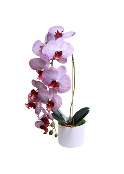 Fioletowo biały storczyk orchidea Kompozycja kwiatowa 1 Pęd 55 cm KOMp70 S240 ze sklepu Pantofelek24.pl w kategorii Dekoracje - zdjęcie 178533859