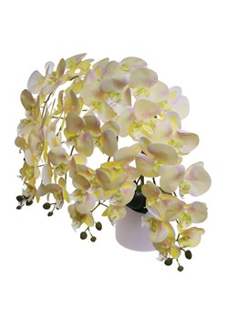 Żółty duży storczyk orchidea Kompozycja kwiatowa 5 Pędów 60 cm KOMp74 S640 ze sklepu Pantofelek24.pl w kategorii Dekoracje - zdjęcie 178576448