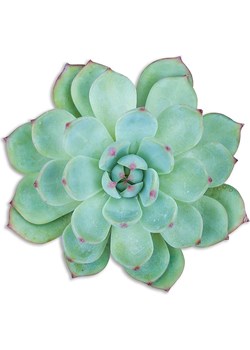 Madre Selva Podkładka stołowa &quot;Green Suculenta&quot; w kolorze zielonym - 50 x 40 cm ze sklepu Limango Polska w kategorii Podkładki na stół - zdjęcie 178622446