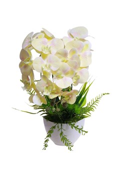 Żółty storczyk orchidea Kompozycja kwiatowa 2 Pędowy 50 cm KOMp87 S340 ze sklepu Pantofelek24.pl w kategorii Dekoracje - zdjęcie 178689259