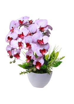 Fioletowy storczyk orchidea Kompozycja kwiatowa 2 Pędowy 50 cm KOMp94 S340 ze sklepu Pantofelek24.pl w kategorii Dekoracje - zdjęcie 178717907