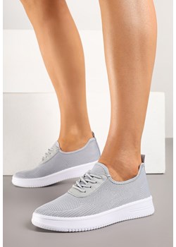 Szare Siateczkowe Buty Sportowe Sneakersy Eravessa ze sklepu renee.pl w kategorii Buty sportowe damskie - zdjęcie 178970926