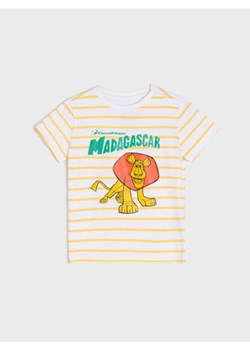 Sinsay - Koszulka The Madagaskar - biały ze sklepu Sinsay w kategorii T-shirty chłopięce - zdjęcie 179120018