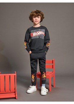 Sinsay - Komplet dzianinowy Hot Wheels - szary - id: 174AP-90X - marki Sinsay - 179182279 Sinsay - Komplet dzianinowy Hot Wheels - szary ze sklepu Sinsay w kategorii Komplety chłopięce - zdjęcie 179182279