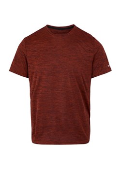 Koszulka męska Fingal Edition Regatta ze sklepu SPORT-SHOP.pl w kategorii T-shirty męskie - zdjęcie 179219359