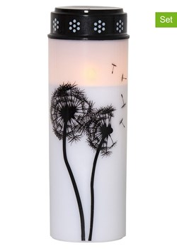 STAR Trading Znicze LED (4 szt.) "Dandelion” w kolorze biało-czarnym - wys. 21 x Ø 7 cm ze sklepu Limango Polska w kategorii Świece i dyfuzory - zdjęcie 179226377