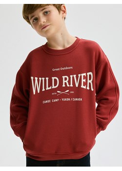 Reserved - Bluza z nadrukiem - intenstywna czerwień ze sklepu Reserved w kategorii Bluzy chłopięce - zdjęcie 179353509