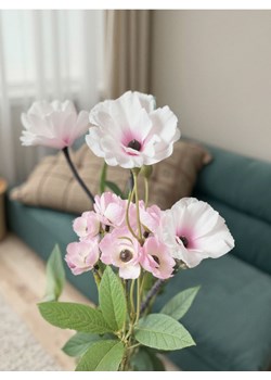 Sinsay - Roślina dekoracyjna 3 pack - Zawilec - pomarańczowy ze sklepu Sinsay w kategorii Dekoracje - zdjęcie 179662968