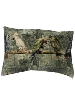 Mars &amp; More Poduszka &quot;Parakeets and cockatoos&quot; w kolorze zielonym - 40 x 60 cm ze sklepu Limango Polska w kategorii Kołdry i poduszki - zdjęcie 179756975