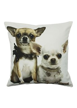 Mars &amp; More Poduszka &quot;Chihuahuas&quot; w kolorze jasnobrązowo-białym - 50 x 50 cm ze sklepu Limango Polska w kategorii Kołdry i poduszki - zdjęcie 179787487