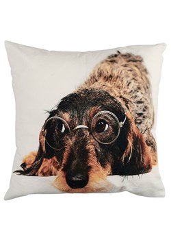 Mars &amp; More Poduszka &quot;Dachshund&quot; w kolorze jasnobrązowo-białym - 50 x 50 cm ze sklepu Limango Polska w kategorii Kołdry i poduszki - zdjęcie 179787488