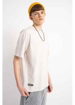Jasnoszary t-shirt z autorską grafiką z tyłu, rozmiar - 146, kolor - szary ze sklepu REPORTER w kategorii T-shirty chłopięce - zdjęcie 180175129