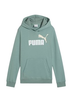 Bluza juniorska Ess 2 Color No.1 Logo Hoodie Puma ze sklepu SPORT-SHOP.pl w kategorii Bluzy dziewczęce - zdjęcie 180235205