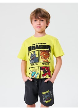 Sinsay - Szorty How to train your dragon - szary - id: 145EJ-86X - marki Sinsay - 180413645 Sinsay - Szorty How to train your dragon - szary ze sklepu Sinsay w kategorii Spodenki chłopięce - zdjęcie 180413645