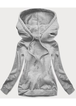 Damska bluza dresowa szara (w02-2) ze sklepu goodlookin.pl w kategorii Bluzy damskie - zdjęcie 180449688