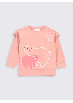 Coccodrillo Bluza ZC2143101WIN Różowy Regular Fit ze sklepu MODIVO w kategorii Bluzy i swetry - zdjęcie 181115318