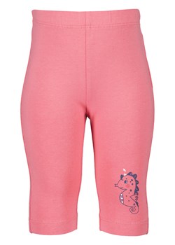 Blue Seven Legginsy 913605 X Różowy Regular Fit ze sklepu MODIVO w kategorii Legginsy niemowlęce - zdjęcie 181146959