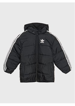 adidas Kurtka przejściowa adicolor HK7451 Czarny Regular Fit ze sklepu MODIVO w kategorii Kombinezony i kurtki - zdjęcie 181167586