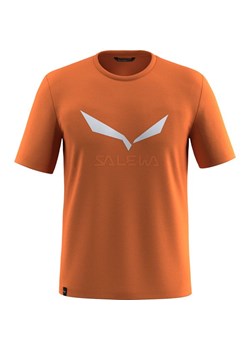 Koszulka męska Solidlogo Salewa ze sklepu SPORT-SHOP.pl w kategorii T-shirty męskie - zdjęcie 181930785
