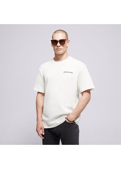 DICKIES T-SHIRT LANDASCAPE SS TEE ze sklepu Sizeer w kategorii T-shirty męskie - zdjęcie 181950349