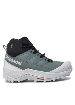 Trekkingi Salomon Crosstrak Waterproof L47570400 Zielony ze sklepu eobuwie.pl w kategorii Buty trekkingowe damskie - zdjęcie 182065798