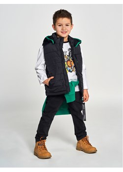 Birba Trybeyond Kamizelka 999 78299 00 Czarny Regular Fit ze sklepu MODIVO w kategorii Kamizelki męskie - zdjęcie 182611347
