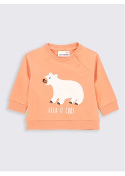 Coccodrillo Bluza ZC2143105ARN Pomarańczowy Regular Fit ze sklepu MODIVO w kategorii Bluzy i swetry - zdjęcie 182736238