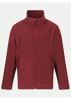 ZigZag Polar Zap Fleece Z211077 Fioletowy Regular Fit ze sklepu MODIVO w kategorii Bluzy dziewczęce - zdjęcie 182749988