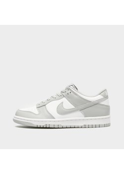 NIKE DUNK LOW BG ze sklepu JD Sports  w kategorii Buty sportowe damskie - zdjęcie 183696846