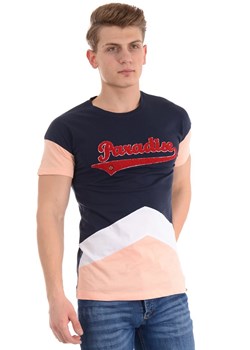 Męska Koszulka T-Shirt ze sklepu brendi.pl w kategorii T-shirty męskie - zdjęcie 183738018
