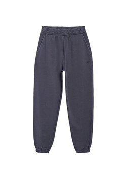 Spodnie dresowe damskie TTROF1123 4F ze sklepu SPORT-SHOP.pl w kategorii Spodnie damskie - zdjęcie 183850945