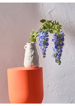 Sinsay - Roślina ozdobna - wisteria - niebieski ze sklepu Sinsay w kategorii Dom - zdjęcie 183869489