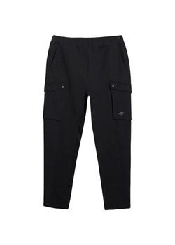Spodnie dresowe męskie TTROM0990 4F ze sklepu SPORT-SHOP.pl w kategorii Spodnie męskie - zdjęcie 183872988