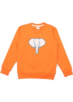 Walkiddy Bluza w kolorze pomarańczowym ze sklepu Limango Polska w kategorii Bluzy chłopięce - zdjęcie 183899215